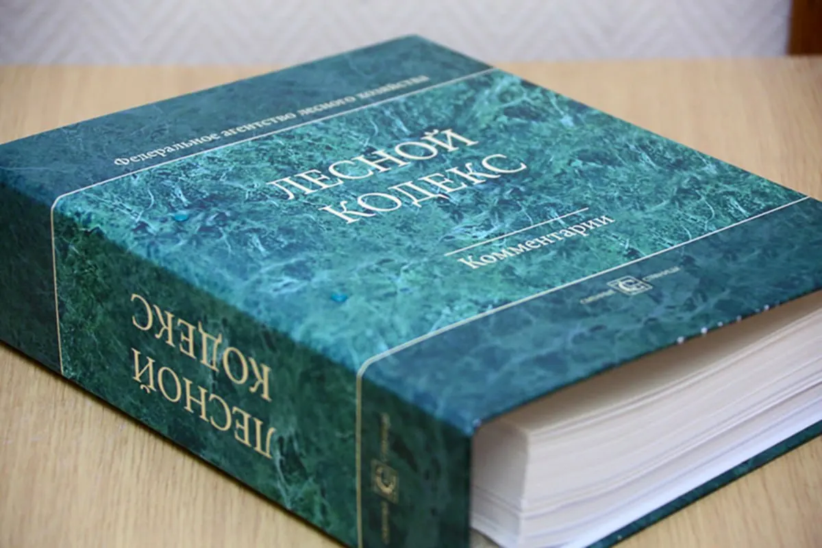 По словам эксперта по лесному хозяйству, многочисленные поправки сделали кодекс фактически новым документом — он нуждается в кардинальном упрощении и замене.