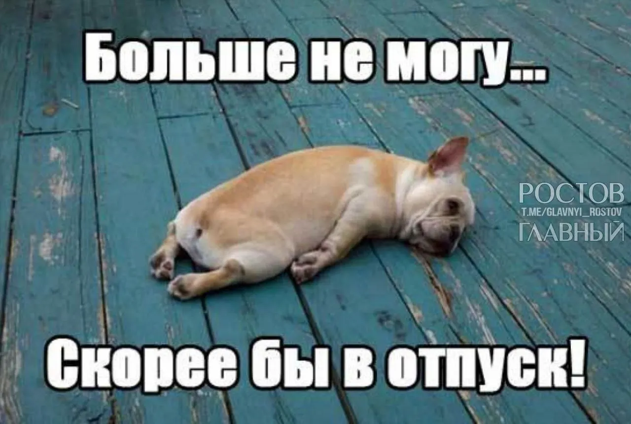 Депутаты Госдумы предлагают поднять минимальную продолжительность отпуска с 28 до 35 дней, чтобы компенсировать включённые в него выходные и помочь людям лучше отдыхать и избегать выгорания.