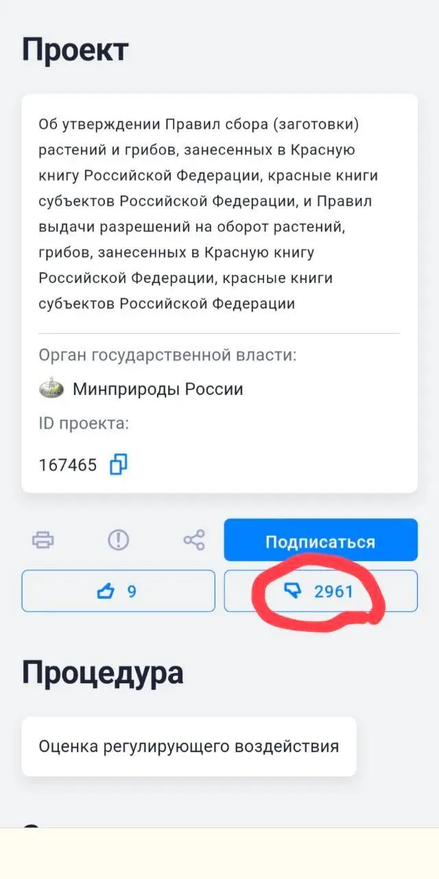 Новые правила допускают пересадку редких растений и грибов ради строительства и другой хозяйственной деятельности — экологи резко критикуют решение.