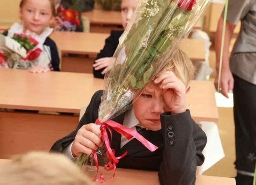 Замглавы Минпросвещения Владимир Желонкин заявил, что 11-летняя школа считается оптимальной, планов менять срок обучения нет — все новые стандарты будут разрабатываться с учётом 11 классов.