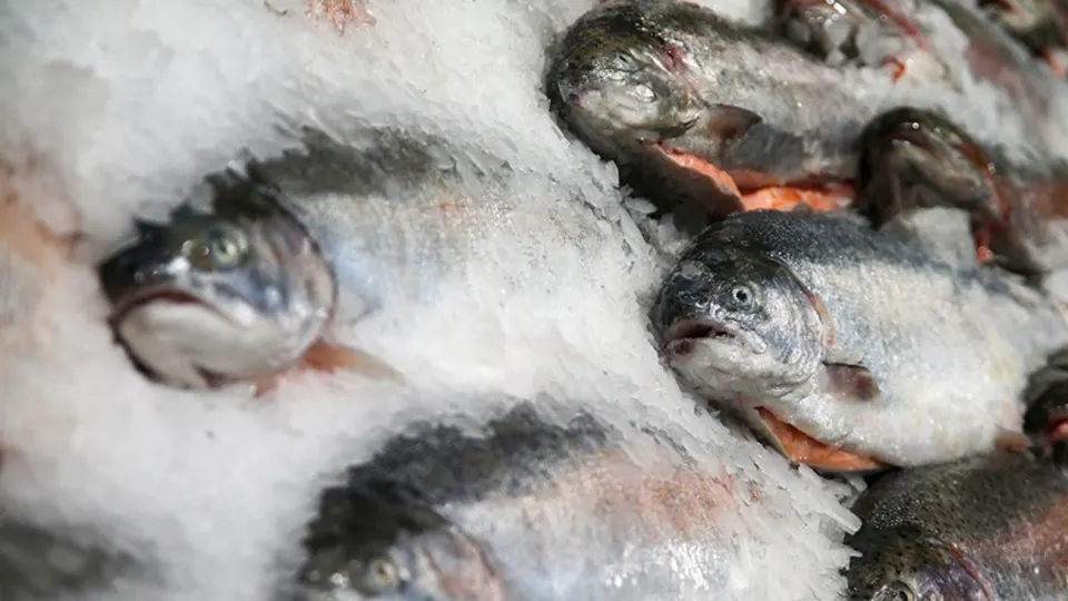 Россельхознадзор приостановил сертификацию продукции двух армянских предприятий и ввёл ограничения на поставки после парламентских выборов в Армении и объявления о финансовой помощи со стороны ЕС.