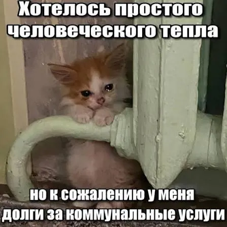 Суд подтвердил, что требования по взносам на капремонт старше трёх лет подпадают под срок исковой давности и не подлежат принудительному исполнению, что важно для покупателей вторичного жилья и наследников.