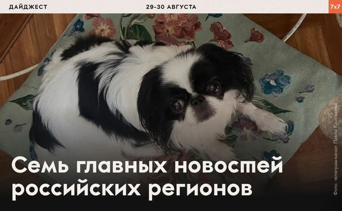 Задержания, давление на правозащитников и региональные запреты — обзор актуальных случаев по России.