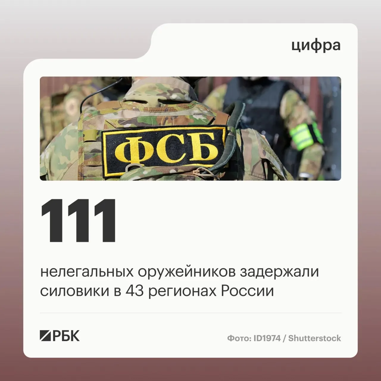 Силовые ведомства ликвидировали подпольную сеть, остановив деятельность 37 подпольных мастерских и прекратив оборот оружия.