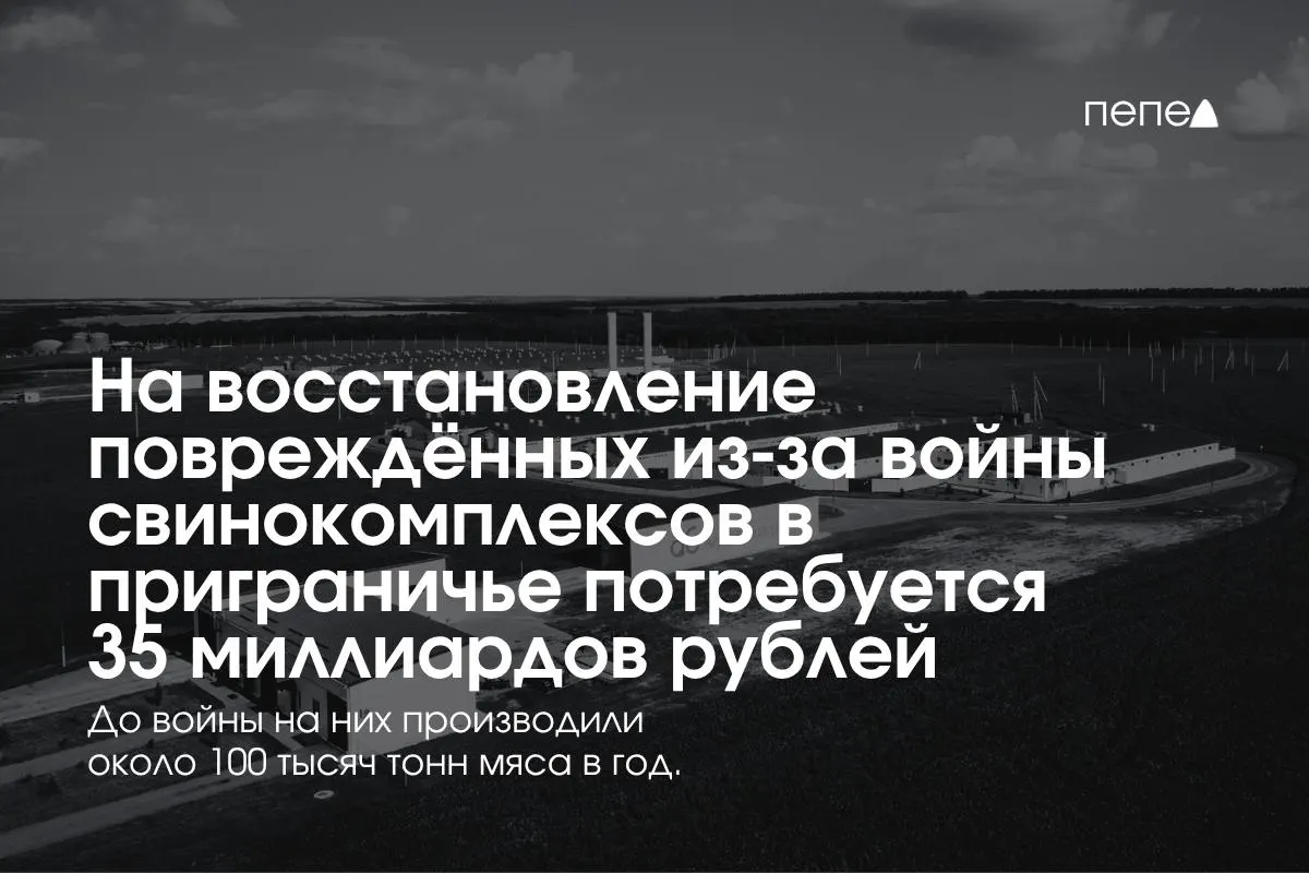 Оценка затрат на безопасность и модернизацию агропромышленного сектора в приграничных регионах Белгородской, Курской и Брянской областях.